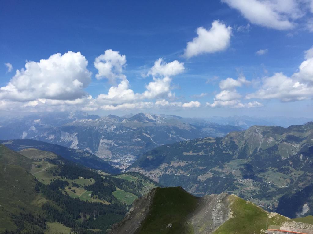 Fussreflexzonentherapie